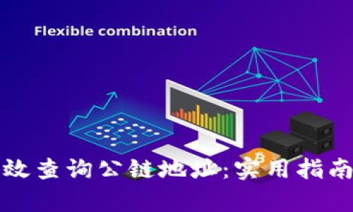 如何有效查询公链地址：实用指南与技巧