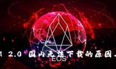 : TokenIM 2.0 国内无法下载的原因与解决方案