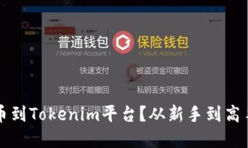 如何顺利提币到Tokenim平台？从新手到高手的完整指南