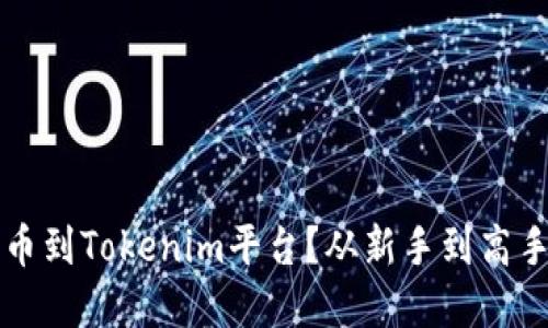如何顺利提币到Tokenim平台？从新手到高手的完整指南