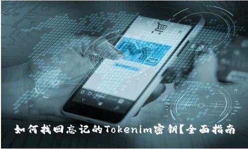如何找回忘记的Tokenim密钥？全面指南