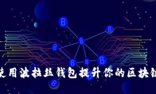 如何使用波拉丝钱包提升你的区块链体验