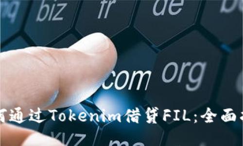 如何通过Tokenim借贷FIL：全面指南
