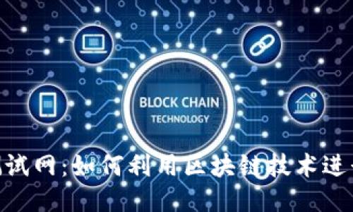 Tokenim测试网：如何利用区块链技术进行应用开发