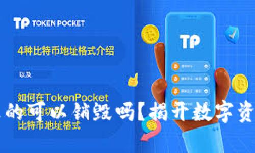 区块链钱包真的可以销毁吗？揭开数字资产安全的真相