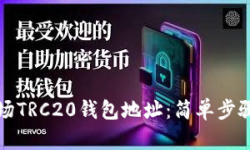 如何下载波场TRC20钱包地址：简单步骤与安全提示