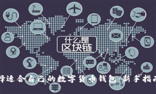 如何选择适合自己的数字货币钱包：新手指南与推荐