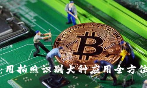 轻松识别犬种：用拍照识别犬种应用全方位了解你的狗狗