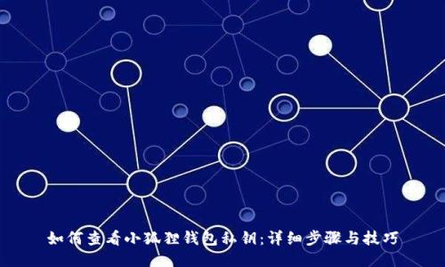 如何查看小狐狸钱包私钥：详细步骤与技巧