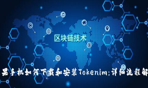 苹果手机如何下载和安装Tokenim：详细流程解析