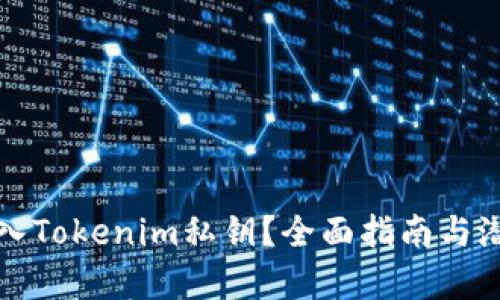 如何安全导入Tokenim私钥？全面指南与潜在风险解析