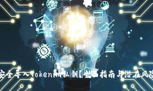如何安全导入Tokenim私钥？全面指南与潜在风险解析