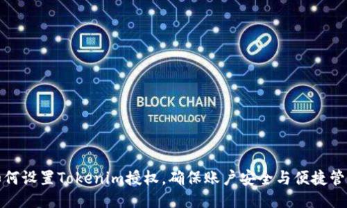 如何设置Tokenim授权，确保账户安全与便捷管理