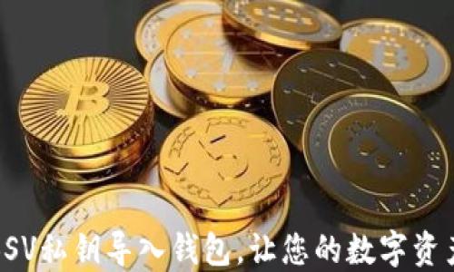 
如何支持BSV私钥导入钱包，让您的数字资产更加安全