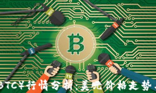 
今天比特币（BTC）行情分析：美元价格走势与投资者策略