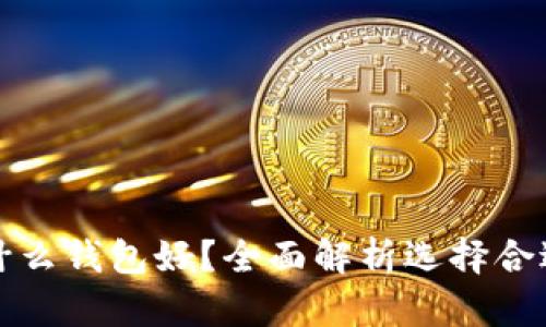 买虚拟币用什么钱包好？全面解析选择合适的加密钱包