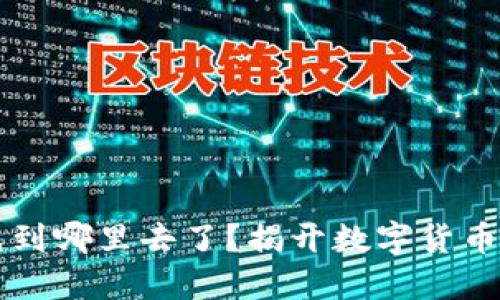 虚拟钱包的币充到哪里去了？揭开数字货币使用背后的秘密