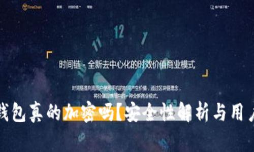 加密钱包真的加密吗？安全性解析与用户指南