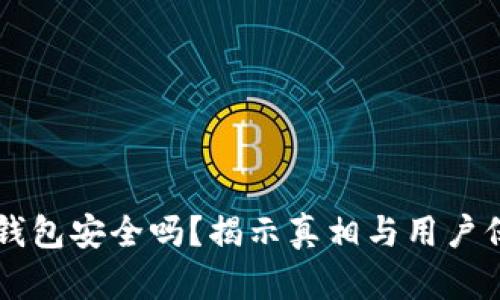 区块链钱包安全吗？揭示真相与用户保护指南