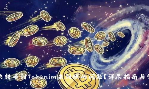 如何解决转币到Tokenim未到账的问题？详尽指南与常见问答
