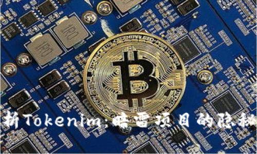 深入剖析Tokenim：暗雷项目的隐秘与风险