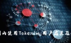 如何在国内使用Tokenim：用