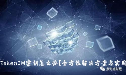 忘记TokenIM密钥怎么办？全方位解决方案与实用建议