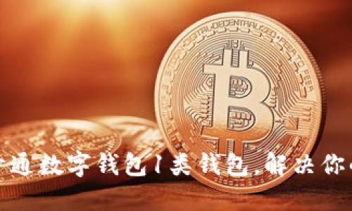 如何快速开通数字钱包1类钱包，解决你的支付难题