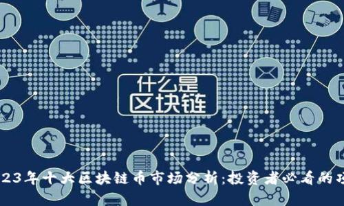 2023年十大区块链币市场分析：投资者必看的项目