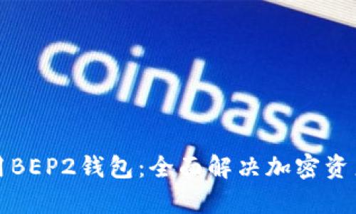 如何选择和使用BEP2钱包：全面解决加密资产安全存储问题