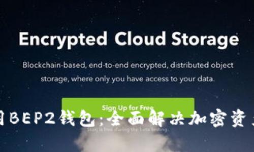 如何选择和使用BEP2钱包：全面解决加密资产安全存储问题