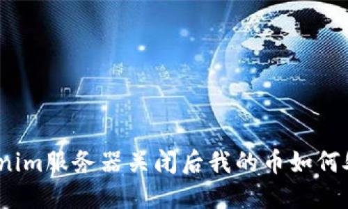 Tokenim服务器关闭后我的币如何处理？