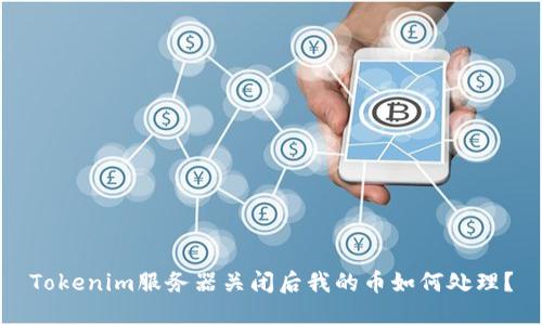 Tokenim服务器关闭后我的币如何处理？