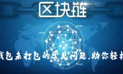 解决Tokenim钱包未打包的常见问题，助你轻松管理数字资产