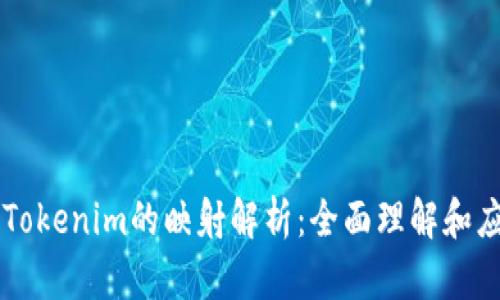 ### Tokenim的映射解析：全面理解和应用指南