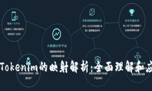 ### Tokenim的映射解析：全面理解和应用指南