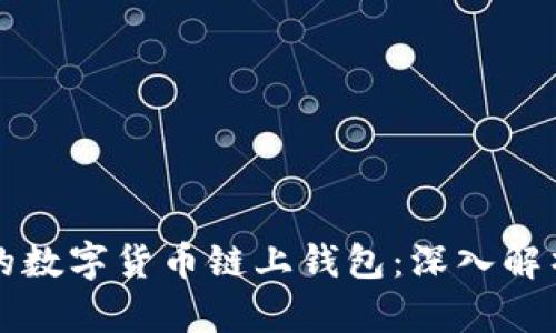 如何选择适合你的数字货币链上钱包：深入解析与用户痛点解决