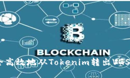 如何安全高效地从Tokenim转出VGS Token？