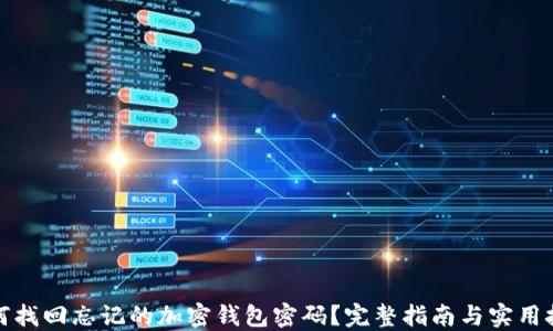 
如何找回忘记的加密钱包密码？完整指南与实用技巧