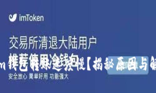 Tokenim钱包转账速度慢？揭秘原因与解决方案