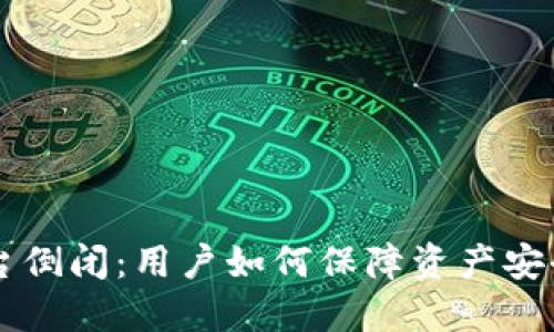 虚拟币钱包平台倒闭：用户如何保障资产安全的全方位指南