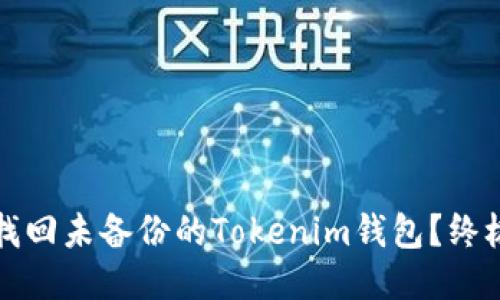 如何找回未备份的Tokenim钱包？终极指南