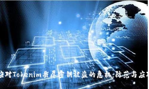 如何应对Tokenim截屏密钥被盗的危机：防范与应对指南