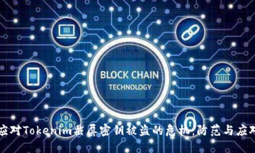 如何应对Tokenim截屏密钥被盗的危机：防范与应对指南