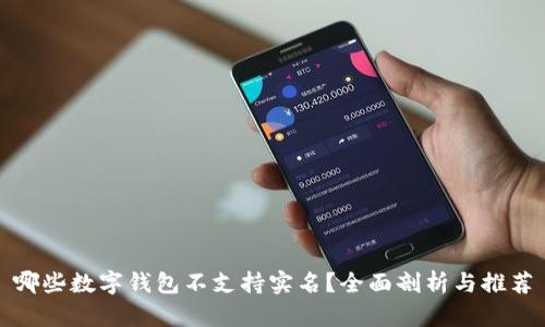 哪些数字钱包不支持实名？全面剖析与推荐
