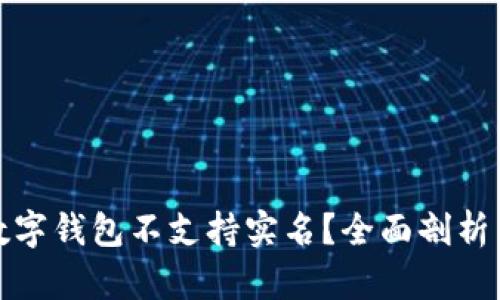 哪些数字钱包不支持实名？全面剖析与推荐