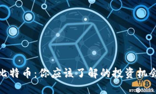 派币与比特币：你应该了解的投资机会与风险