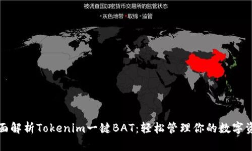 全面解析Tokenim一键BAT：轻松管理你的数字资产
