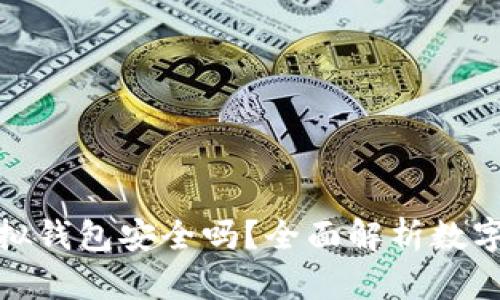 数字货币虚拟钱包安全吗？全面解析数字资产安全性