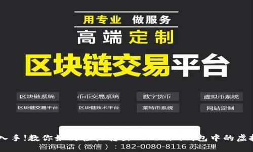 出币入手!教你如何轻松转出Tokenim钱包中的虚拟货币